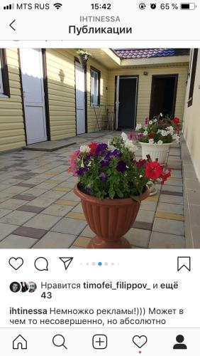 Фотография мини отеля Инессаморе