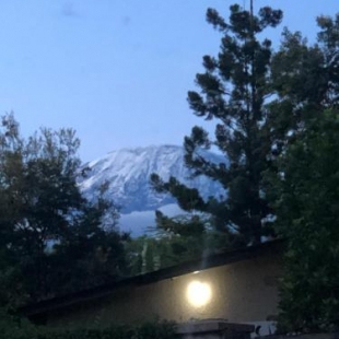 Фотография гостевого дома Dans place