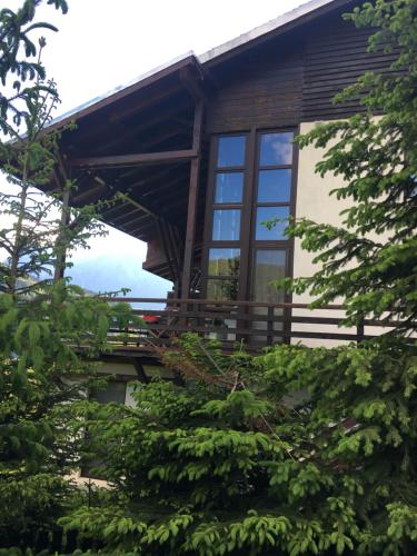 Фотография гостевого дома Andu's Chalet Azuga