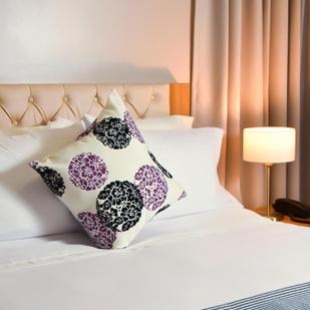 Фотография гостиницы Hotel Prado Real