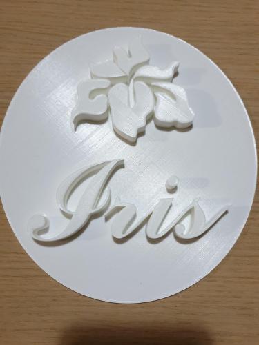 Фотография гостевого дома Iris home