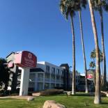 Фотография гостиницы SureStay Plus Hotel by Best Western Scottsdale North