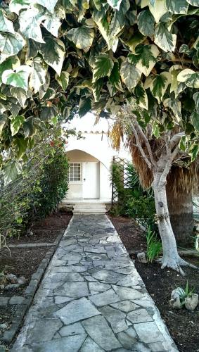 Фотография гостевого дома The Little House