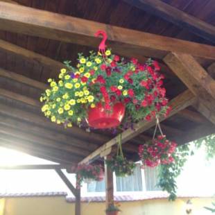 Фотографии гостевого дома 
            Guest House PIP