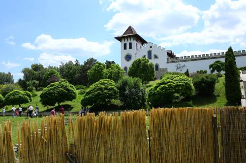 Фотографии гостиницы 
            Chateau Purcari