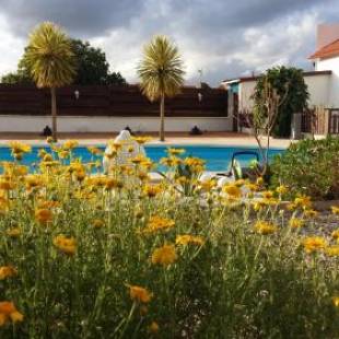 Фотографии мини отеля
Casa o Futuro