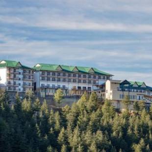 Фотографии гостиницы 
            Taj Theog Resort & Spa Shimla
