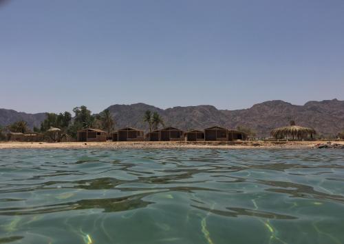 Фотография кемпинга Sina Star Camp