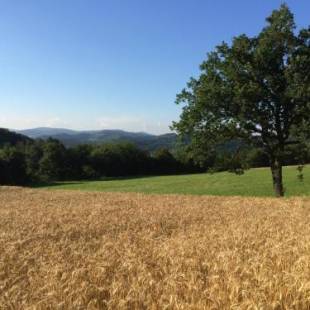 Фотографии мини отеля
I Calleri Garden and Rooms