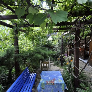 Фотография гостевого дома Агава