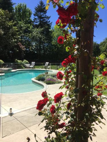 Фотография гостевого дома Bluebell Lodge and Cottage