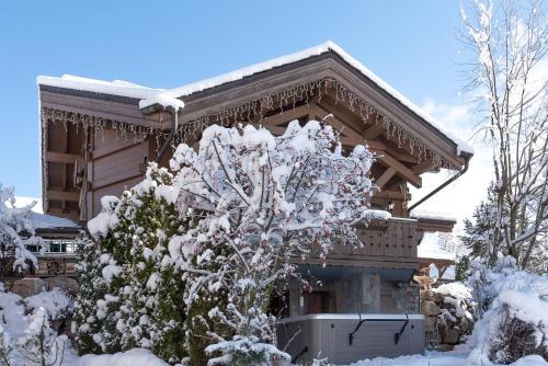 Фотография гостевого дома Chalet Lunar