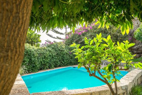 Фотография гостевого дома Casitas en el Paraiso