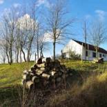 Фотография гостевого дома Vakantiewoning Zandhof