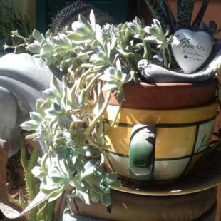 Фотографии гостевого дома 
            Cà D' Rot - Casa Ratti