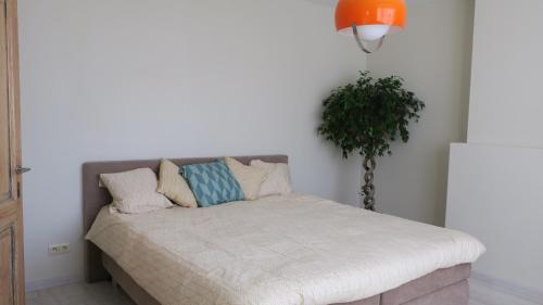 Фотография гостевого дома Vakantiewoning Zonnehof