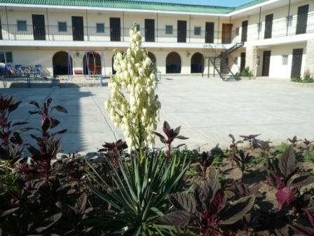 Фотография пансионата Подоляночка