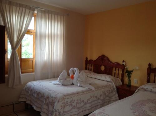 Фотография гостиницы Hotel Posada Camelinas