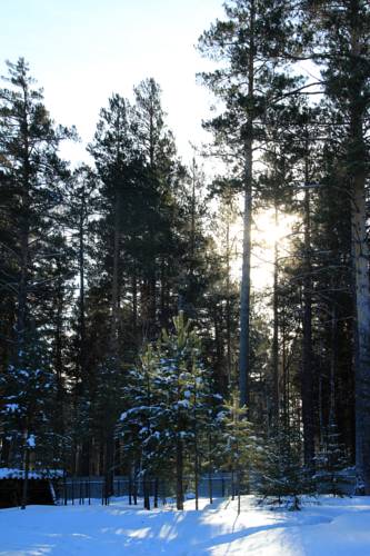 Фотография мини отеля Светлячки