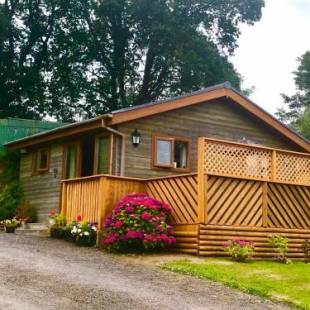 Фотографии гостевого дома 
            Swansea Log Cabin