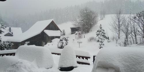 Фотография мини отеля U Janka