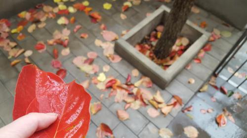 Фотография гостиницы HotelEast