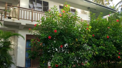 Фотография квартиры Unawatuna Apartments