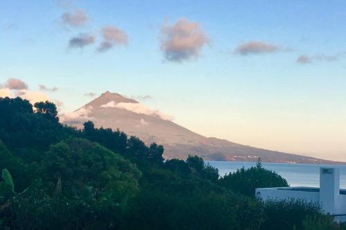 Фотография гостевого дома Summer house with BBQ and Garden