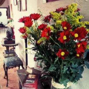 Фотографии гостиницы
Giron Chill Out Hotel Boutique