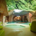 Фотография гостиницы Viiking Spa Hotel