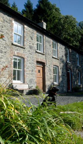 Фотография гостевого дома Bronfelin & Troed-y-Rhiw Holiday Cottage