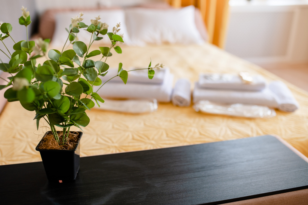 Фотография квартиры Квартира 1-к у залива на Маркова 8/2 от RentAp, 4 сп.места