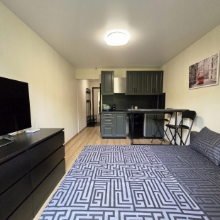 Фотография квартиры Апартаменты RoomOnDay в ЖК Саяны-Парк арт.000503