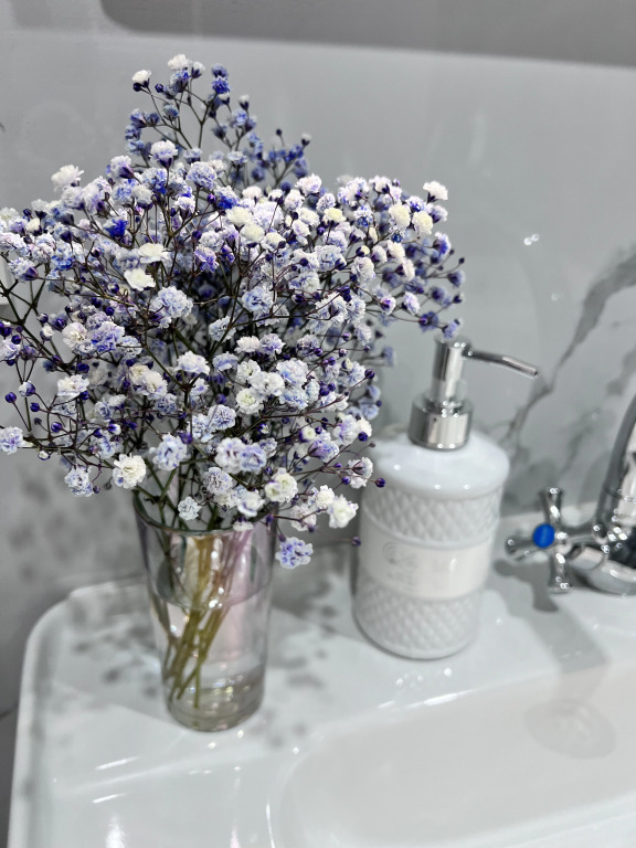 Фотография квартиры Квартира Уютная студия в центре города