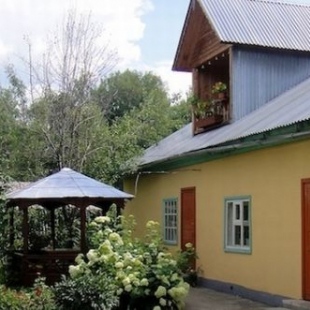 Фотография базы отдыха Пушистые Ели