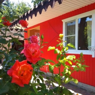 Фотография мини отеля Горького,20