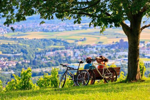 Фотографии гостиницы 
            Holiday Inn Express Stuttgart-Waiblingen, an IHG Hotel