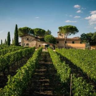 Фотографии базы отдыха
Viticcio