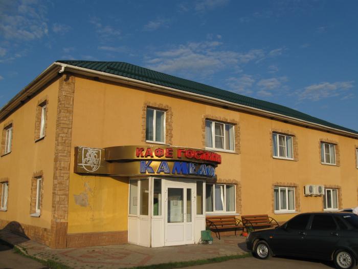 Фотография гостиницы Камелот