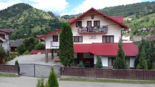 Фотография гостевого дома Pensiunea ANCA