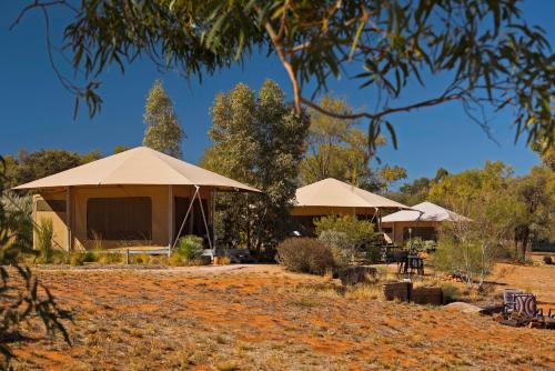 Фотография базы отдыха Squeakywindmill Boutique Tent B&B