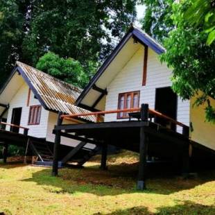Фотографии гостиницы 
            Jungle guest house