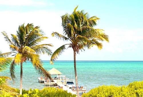 Фотография гостевого дома Sea Garden Cottage