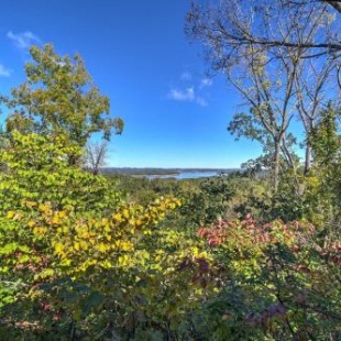 Фотография гостевого дома Douglas Lake-View Cabin with Hot Tub and L-Shaped Porch