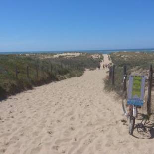 Фотографии гостиницы
Hotel Phoebus