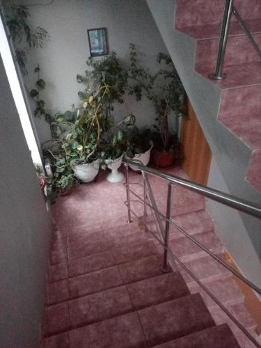 Фотографии гостевого дома 
            Анис