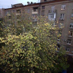 Фотография квартиры Квартира свободна на Тверском-Ямском 14