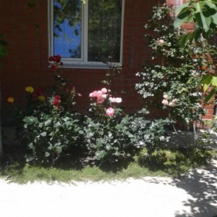 Фотография гостевого дома Мелания