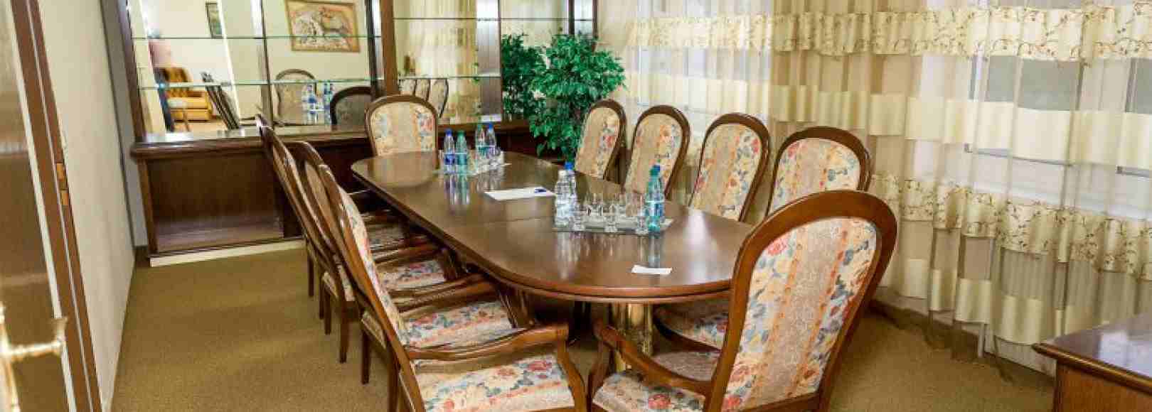 Фотография конференц-зала Лебедь