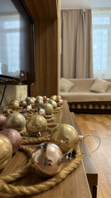 Фотография квартиры Квартира Просторная однокомнатная со свежим ремонтом в центре города